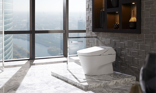 Neorest 700H Dual Flush Toilet