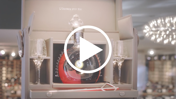 Louis XIII La Odisea de un Rey