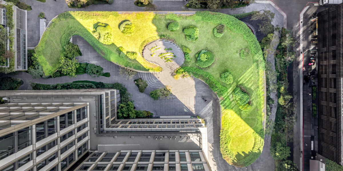 CMP Inspiration: Un museo que se funde con la naturaleza 
