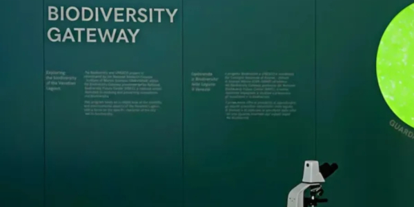 Prada inaugura un nuevo centro de educación oceánica en Venecia.
